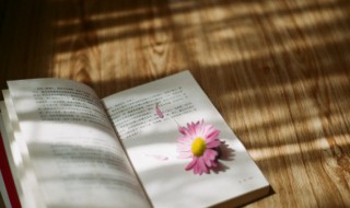 东道主成语意思 东道主一词