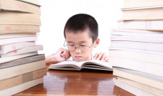 成语毕其功于一役意思（毕其功于一役的意思是什么意思）