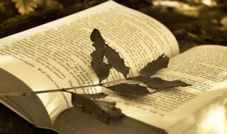 成语莫逆之交意思 莫逆之交是什么意思成语故事