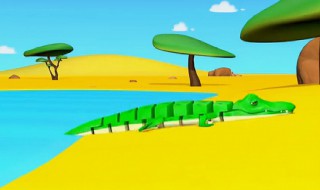 鳄鱼英语怎么读(crocodile鳄鱼英语怎么读)