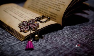 嗉怎么读（嗉怎么读什么意思）