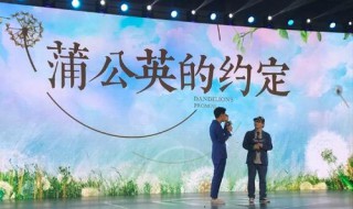 蒲公英的约定电视剧演员表(电视剧蒲公英剧情介绍)