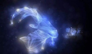 1981年12月24日是什么星座 1981年阴历11月24日什么星座