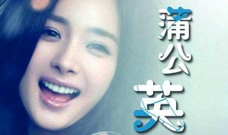 蒲公英之恋电视剧演员表 蒲公英之恋电视剧手机观看