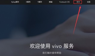 vivo不支持降级怎么办（vivo不支持降级怎么办苹果）