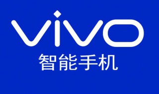 vivoz5i手机忘记密码怎么办（vivoz5i手机密码忘了怎么办）