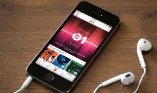 苹果手机网络不支持怎么办 苹果手机网络不支持怎么办呢