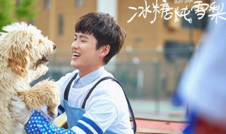 冰糖炖雪梨喻言简介 冰糖炖雪梨的喻言