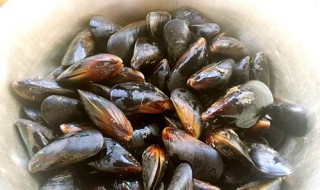 新鲜海虹怎么烧（新鲜海虹怎么烧着吃）