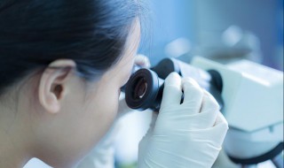 如何在光镜下区分各种白细胞? 什么是镜检白细胞