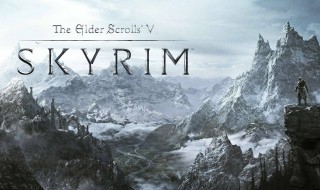 上古卷轴5画面设置最佳 上古卷轴5低配流畅画面设置