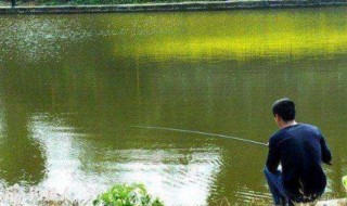 春天下雨钓鱼钓雨前还是雨后好 春天下雨前好钓鱼还是雨后好钓鱼