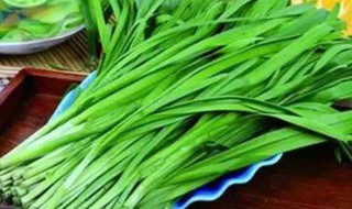 韭菜做的好吃的 韭菜做好吃的做法