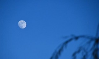 朋友圈适合晚上发的句子 朋友圈适合晚上发的句子图片