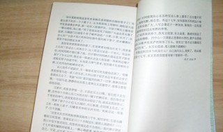 边城优美句子及其感悟（边城优美句子及其感悟简短）