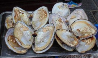 河蚌怎么做好吃（河蚌怎么做好吃又简单）