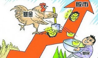 基金算是股票的一种么 基金也属于股票的一种吗