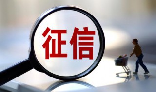 个人征信系统个人可以查到什么 个人征信系统个人可以查到什么信息