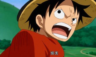 娜美喂路飞吃肉第几集 路飞给娜美分肉就一块是几集