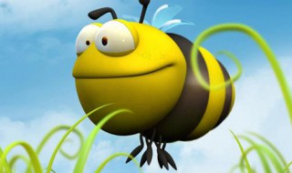 新手中蜂最简单育王（中蜂如何育出好王）