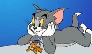 猫和老鼠手游老鼠克什么猫 猫和老鼠手游各种猫的克星