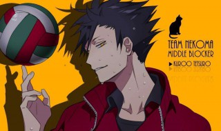 排球少年黑尾出场集数 排球少年黑月出场集数