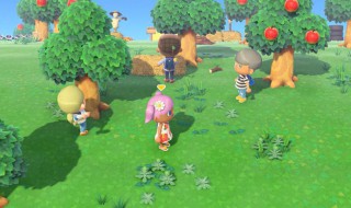 动物森友会怎么挖矿（动物森友会怎样挖矿）