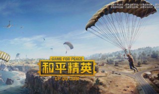 和平精英里面的玛莎怎么获得（和平精英如何获得玛莎）