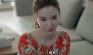 安家张乘乘结局（安家张乘乘结局在哪一集）