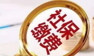 怎么查不到社保缴费记录呢（为什么查不到社保的缴费记录）