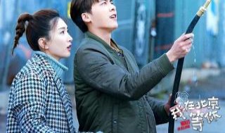 我在北京等你剧情介绍 我在北京等你剧情介绍演员