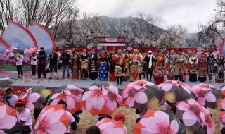 三月十四是什么节（今年三月十四号是什么节日）