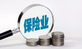 保险的投资特点（保险的投资特点是什么）