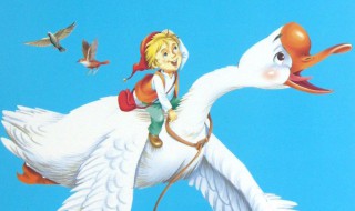 骑鹅旅行记中高尔果是什么动物 骑鹅旅行记中老鹰高尔果的主要内容