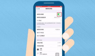 苹果手机自动锁屏设置不了 苹果手机自动锁屏设置不了怎么办