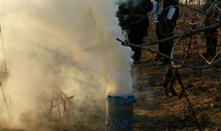 为什么用烟雾防霜冻 为什么用烟雾防霜冻怎样对药