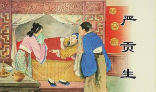 儒林外史的儒指什么 儒林外史主要说什么