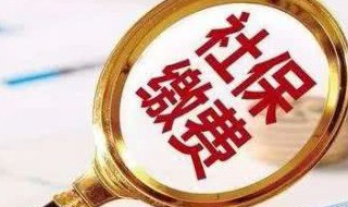 社保缴纳所属月份（社保缴纳所属月份怎么查）