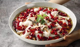 做水煮鱼的是什么鱼 做水煮鱼的鱼是什么鱼