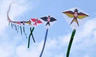 怎样放风筝 怎么放风筝呀