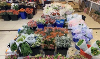 鲜花批发怎么找货源（花店投资大概多少钱）