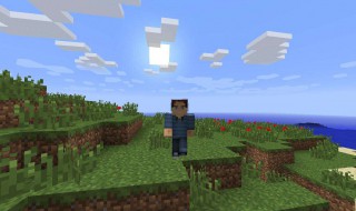 我的世界小丑鱼有什么用（我的世界小丑鱼怎么放入水中）