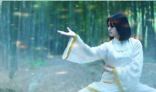 太极拳前12式名称（太极拳12式名称图解）