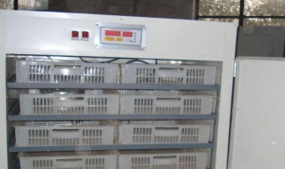 孵化机温度上下温差大怎么办 孵化机温度上下温差大怎么办啊