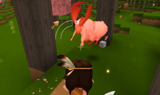 迷你世界手游版什么可以当坐骑（迷你世界手机版怎么骑坐骑）