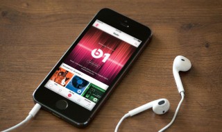 苹果手机无法打开应用 苹果手机无法打开应用程序网络