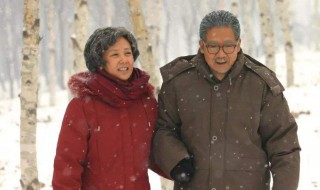 金婚电视剧生了几个孩子 金婚电视剧生了几个孩子是哪一集