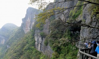 金佛山门票 金佛山门票管几天