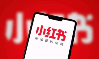 小红书如何用 小红书怎么用?