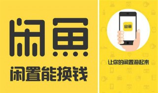 闲鱼客服介入举证技巧（闲鱼客服介入举证技巧是什么）